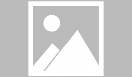 娱乐圈吃网红瓜的是谁啊,揭秘谁是“网红瓜”的忠实粉丝？